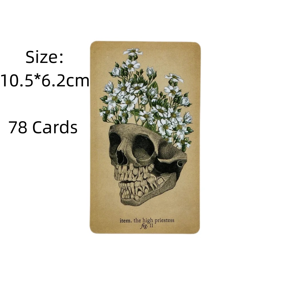The Antique Anatomy Tarot Card - Card Game Deck 评论和价格